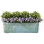Hallwood Handmade Window Box Planter
