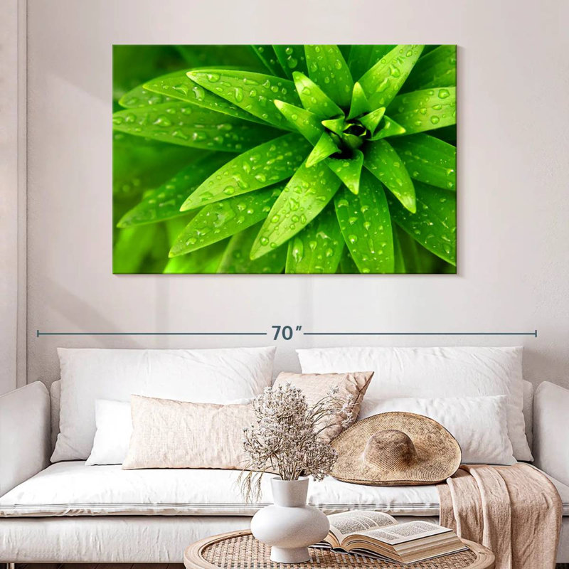 Gouttelettes Harnek sur feuilles vertes