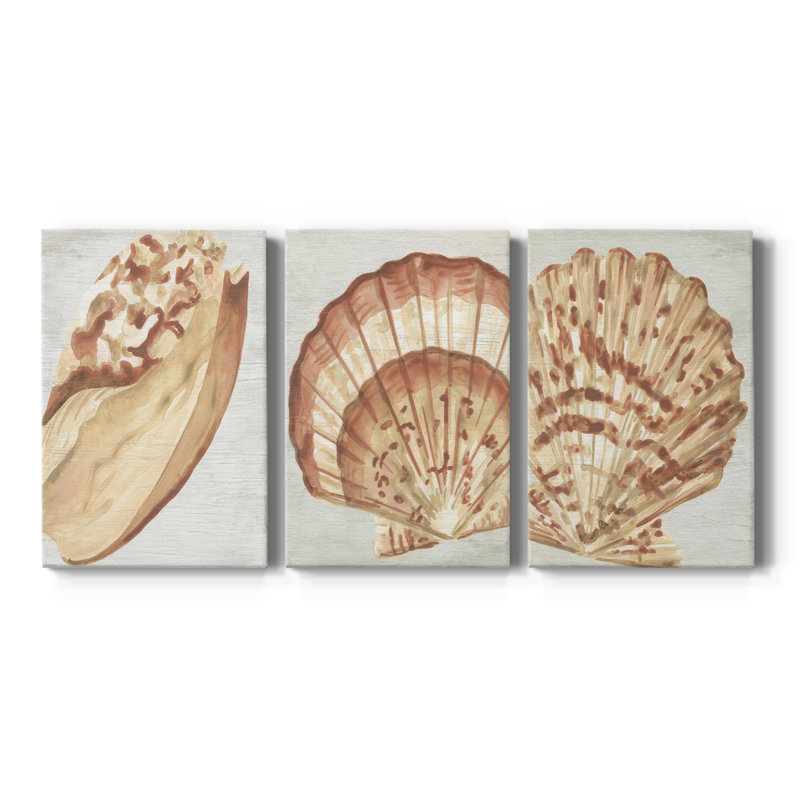 «Vintage Shell Vignette I», toile tendue sur mesure - 3 pièces, H 18 po x l 36 po
