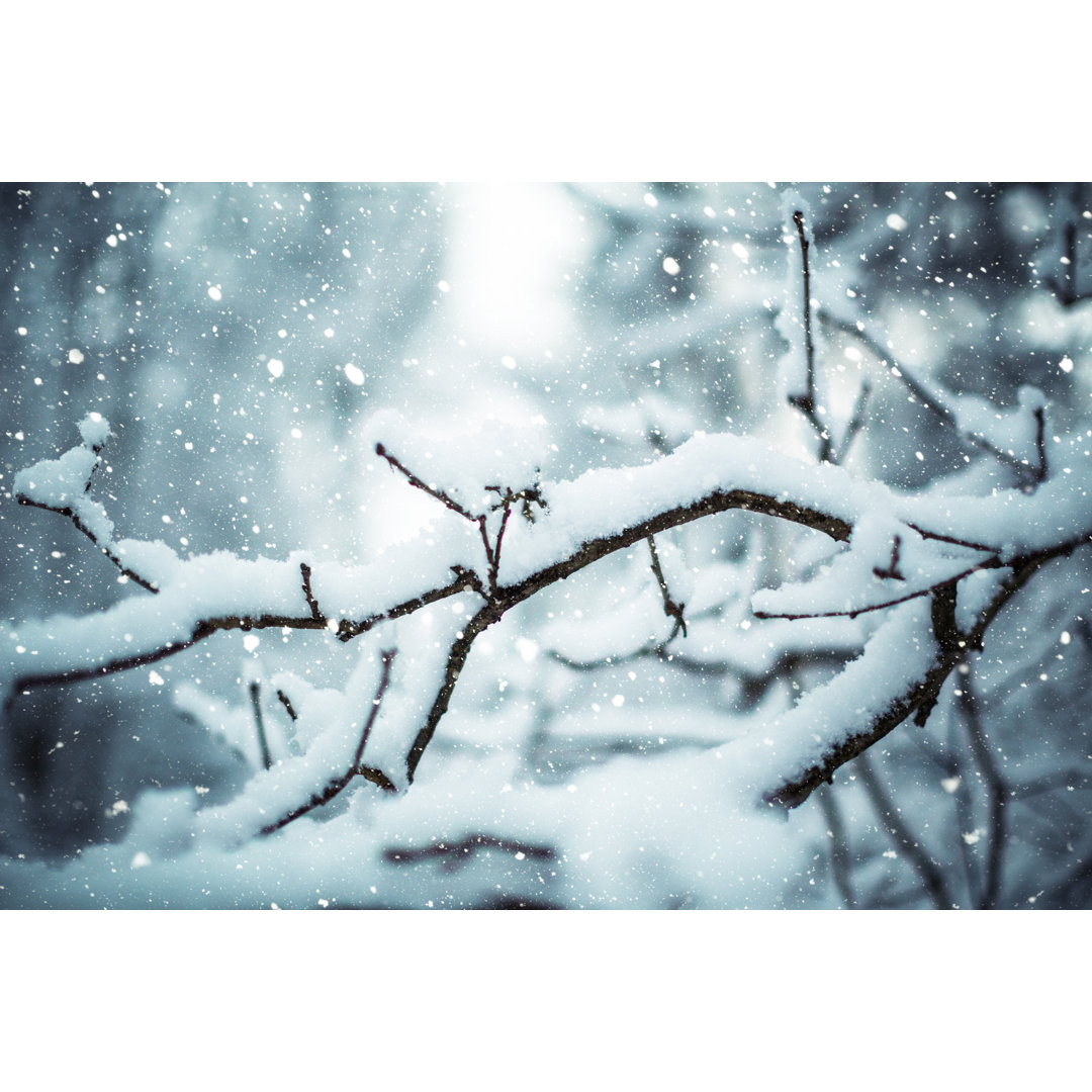 Schneefall in den Wäldern von Andrey Danilovich - Leinwandbild