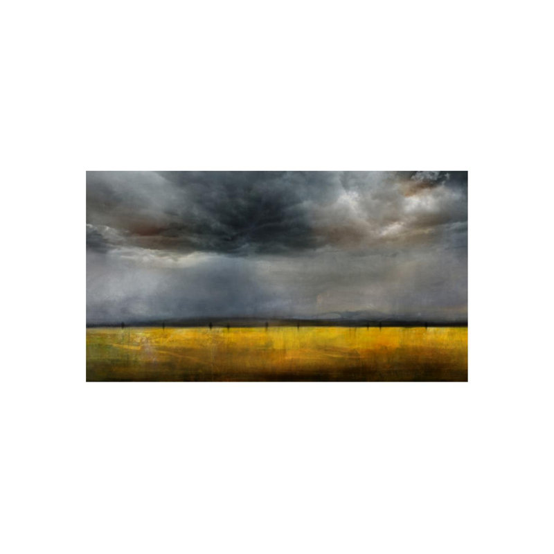 The Endless Field Print by Sofia Fox, 30" H x 54" W x 1.5" D, Outdoor