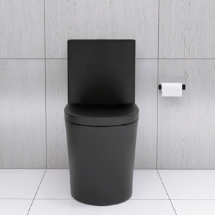 Elongated One Piece Toilet Dual Flush 1.1/1.6 GPF Water Saving Comfort Seat Height, Map 1000g