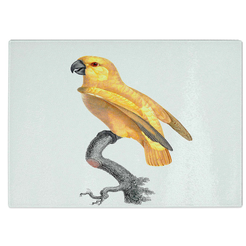 Tempered Glass Senegal Parrot by F. Levaillant Chopping Board, 39 cm W x 28.5 cm L