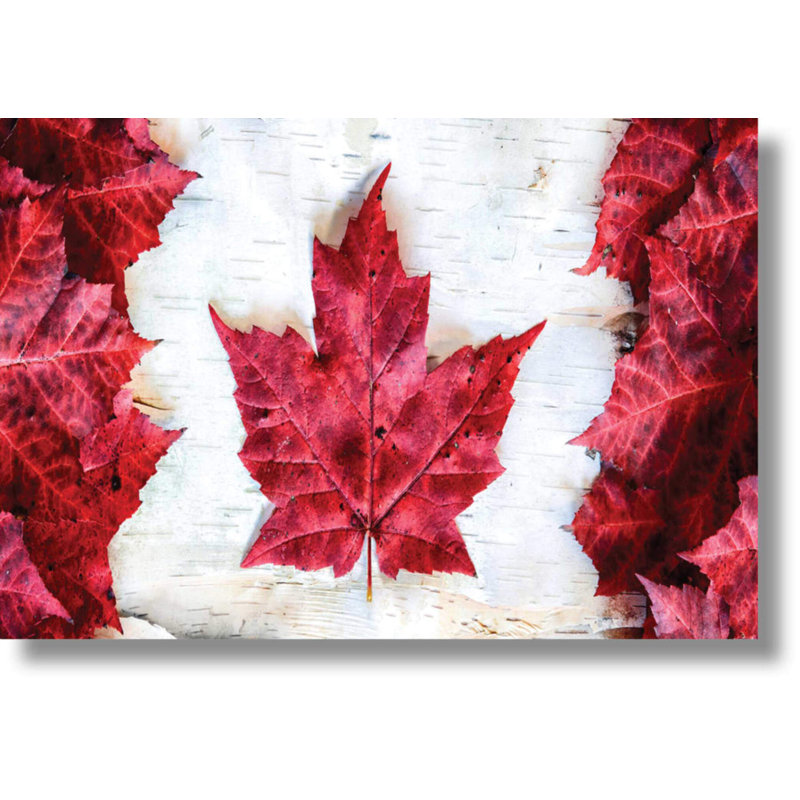 Art mural en verre trempé sans cadre Dontcha Know - 40 po x 60 po