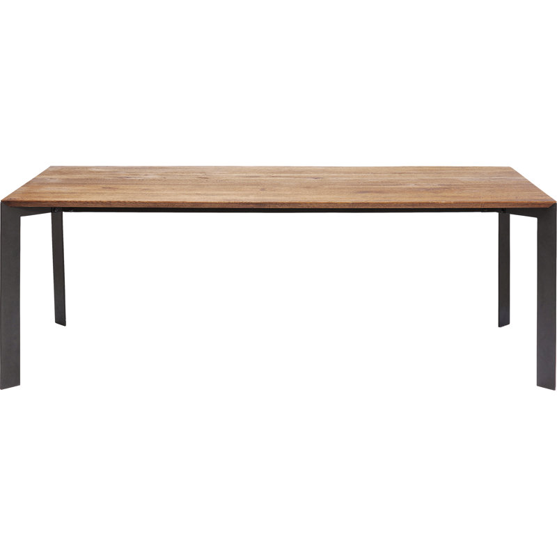 Table Phoenix 100x220cm
