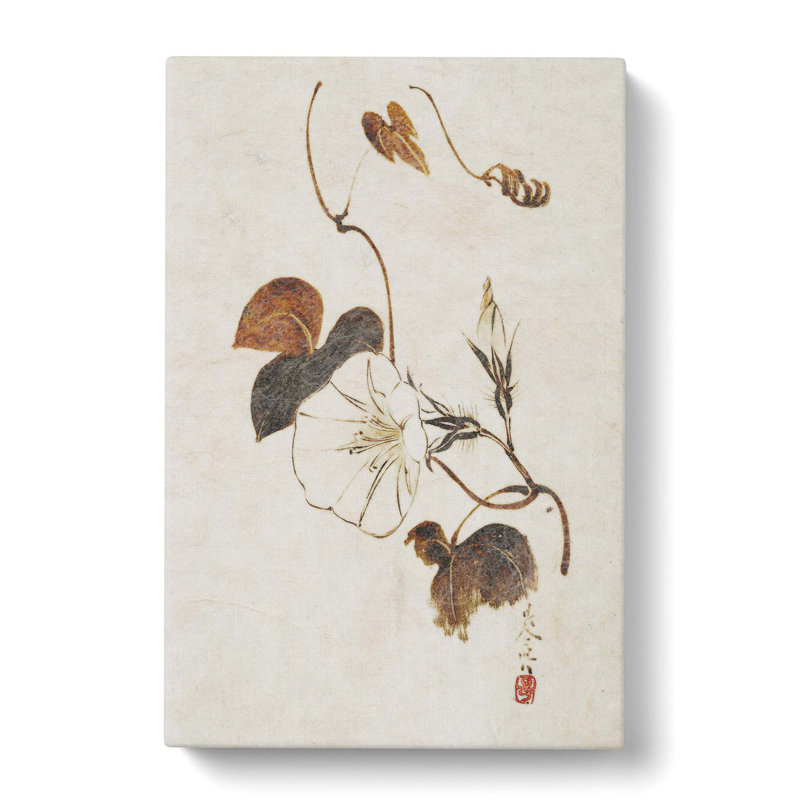 Morning Glory Flower by Shibata Zeshin - Wrapped Canvas Painting, 50cm H x 35cm W x 3cm D