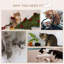 77.47cm H Cat Tree