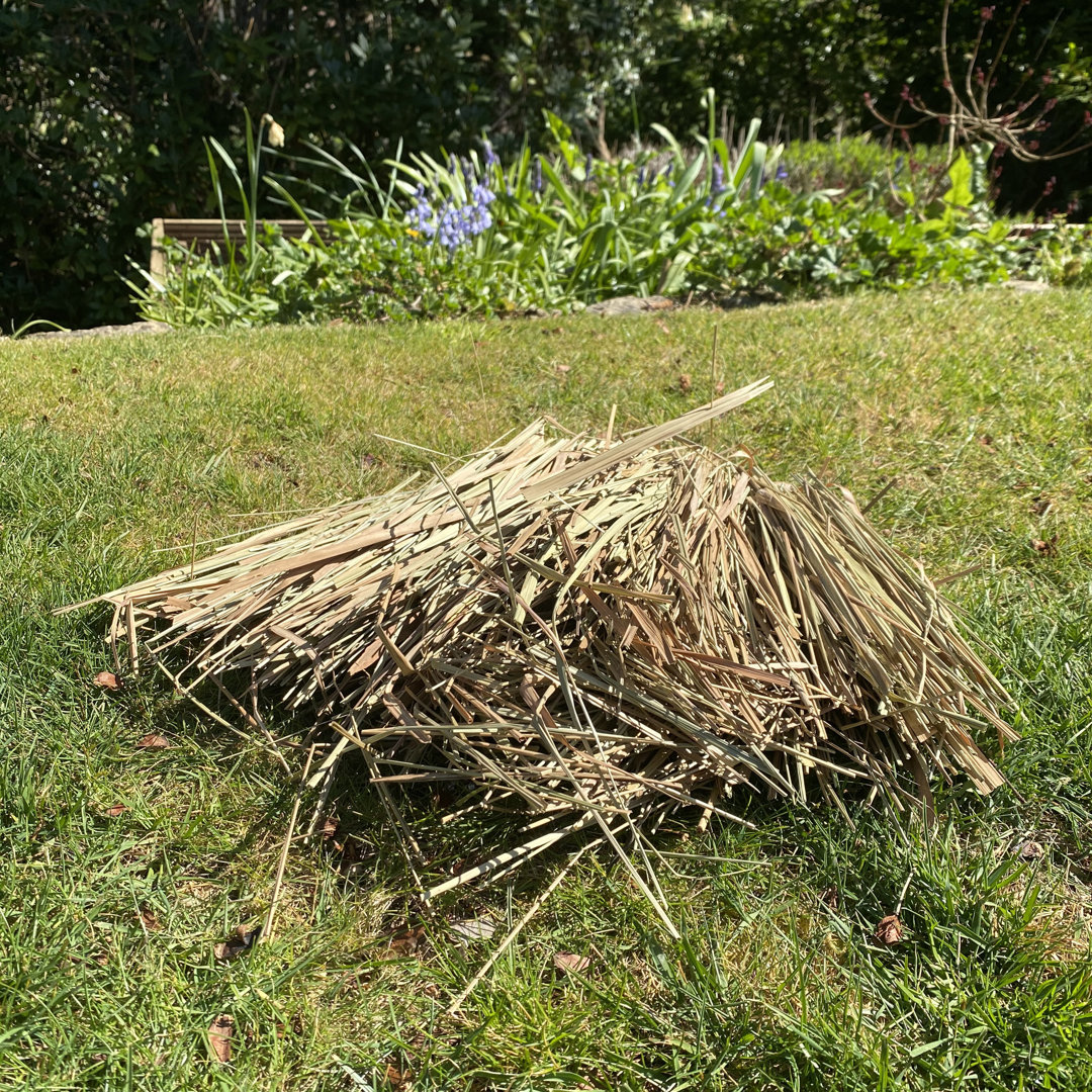 Pixie Freestanding Hedgehog House