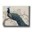 «Peacock & Blossoms II» par Tim O'toole, art mural sur toile-1474105495