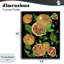 Pamplemousse et fougères Medley, estampe numérique, design par Susan Lugar-122749201-122749196