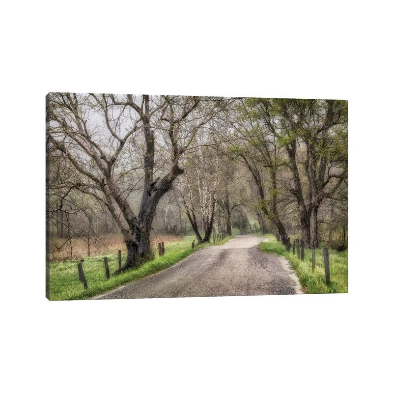 " Late Afternoon Walk " by Andy Amos, Wrapped Canvas, 8" H x 12" W x 0.75"D