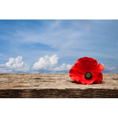 Poppy Flower - Wrapped Canvas Print