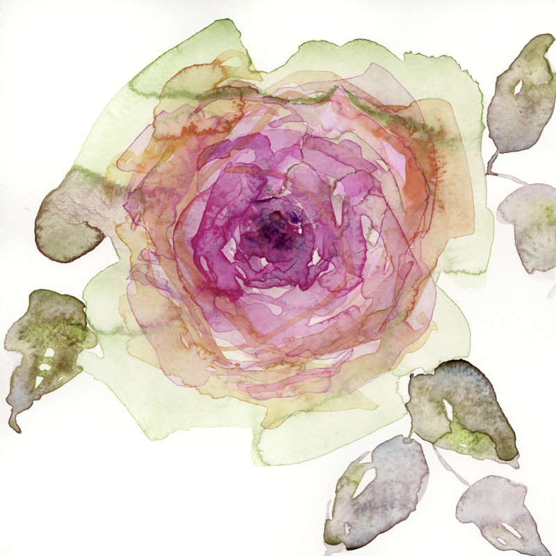 «Queen Rosa I on Canvas» par Marabeth Quin, reproduction, H 12 po x l 12 po