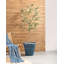 Caylor Pot Planter-1246651626