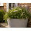 Robin Round Bucket Planter, Contemporary Concrete Effect, Round Indoor and Outdoor Plant Pot with Drainage Hole-1319411696-1319411693