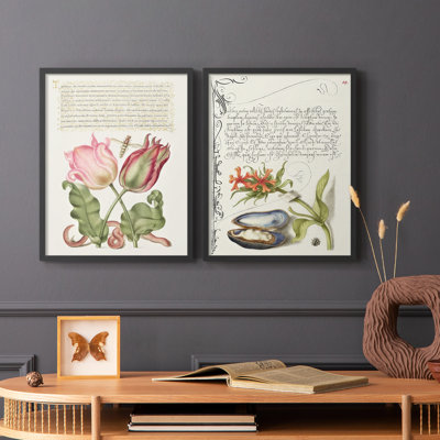 Reproduction encadrée Hoefnagel de spéculations tropicales X-Premium - prêt à être accroché - aucun clou requis - aucun clou requis