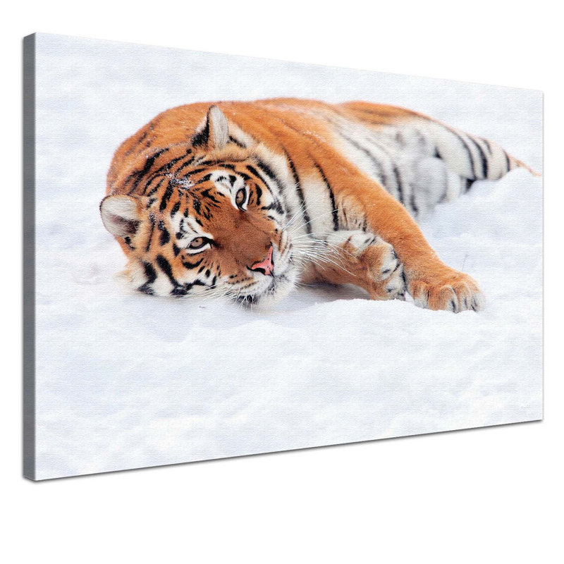 Beauty - Wrapped Canvas Print, 100cm H x 150cm W x 2.5cm D, 1 Piece