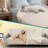 Polyester Pet Blanket-94897895-94897896