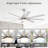 52" 8-ABS Blades Smart Ceiling Fan With Led Light And Dimmable, Remote/App/Voice Control/Reversible Motor-1220249251