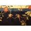 Tapis carré en laine noué à la main chinois antique et ivoire des années 1920