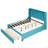 Velvet Upholstered Platform Bed with Wingback Headboard and a Big Drawer,  Queen Size-617416032