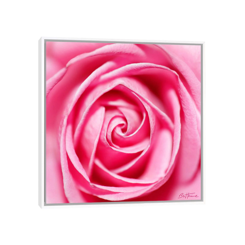 Petal By Petal by Ben Heine - Print on Canvas, 66.04 cm H x 66.04 cm W, White Framed
