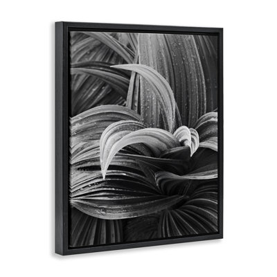 «Wet Leaves» par Chip Forelli