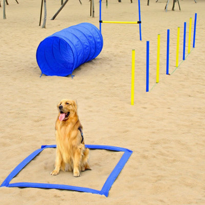 Équipement de course d'obstacles pour chien