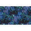 Adhésif mural botanique pelez et collez Odion - Jardin bleu nuit-106363194