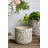 Gray Sand And Cement Planters With Floral Motif-2093992148
