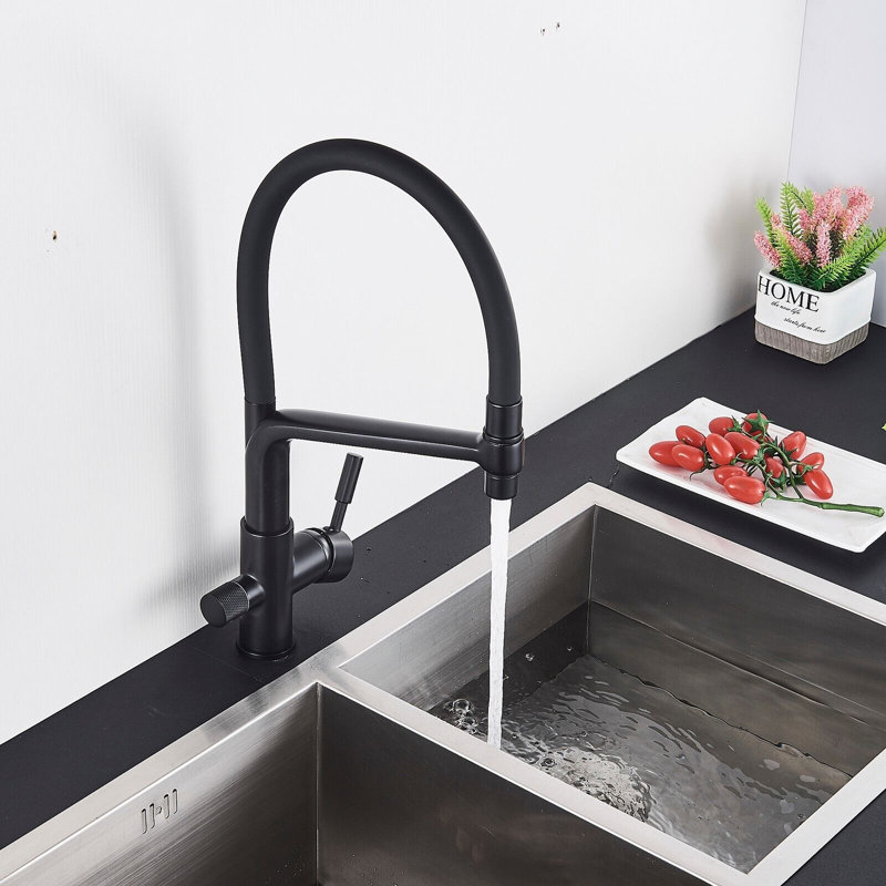 Belfry Kitchen Armana Kitchen Faucet