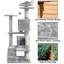 139cm  Cat Tree-1291033182
