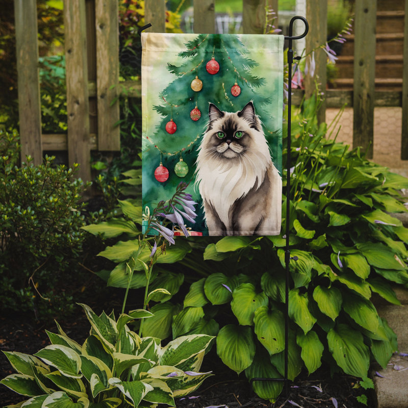 Drapeau de jardin Pixie Bob, Colorpoint Longhair