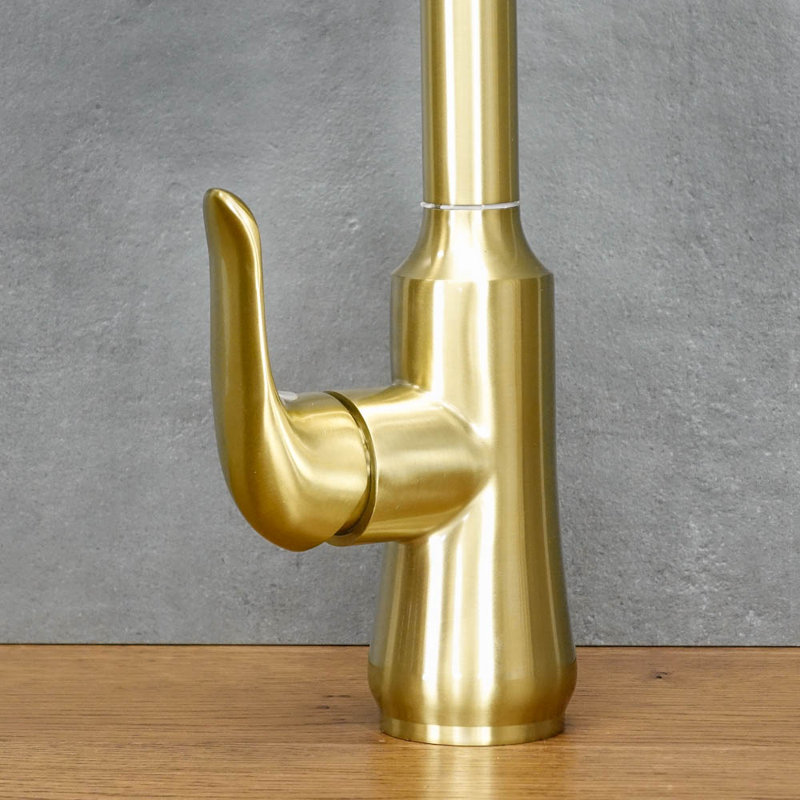 Belfry Kitchen Kitchen Faucet, Gold