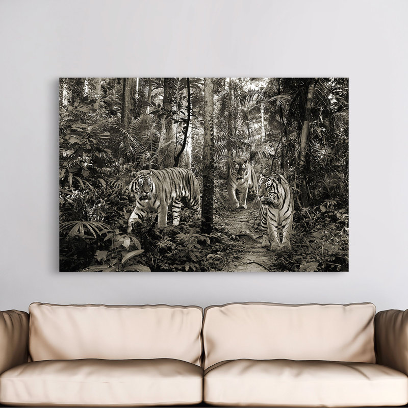 Bengal Tigers (BW) - Wrapped Canvas Print, 50cm H x 70cm W x 4cm D