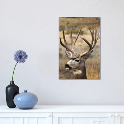 Monster Mulie by Brian Wolf - Wrapped Canvas Print