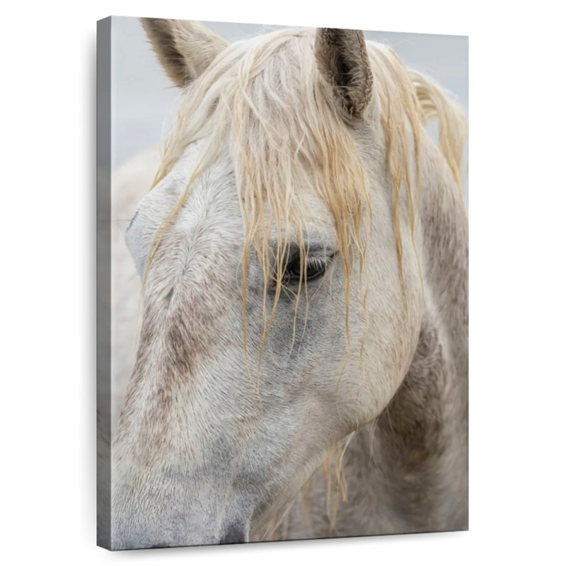 Ronce près d'un cheval blanc de Camargue I, H 48 po x l 32 po