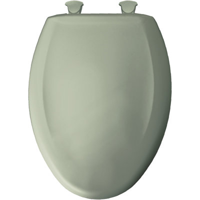 Elongated Toilet Seat and Lid
