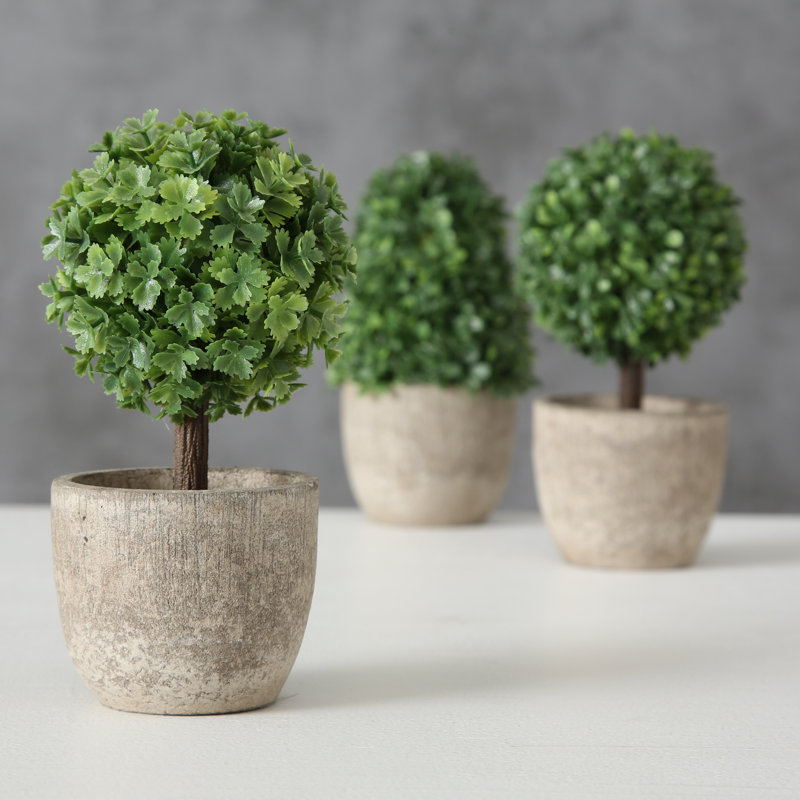 5.5 " H Faux Boxwood Topiary in Plastic Pot