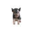 Sitting Baby Pig Statue-16443395