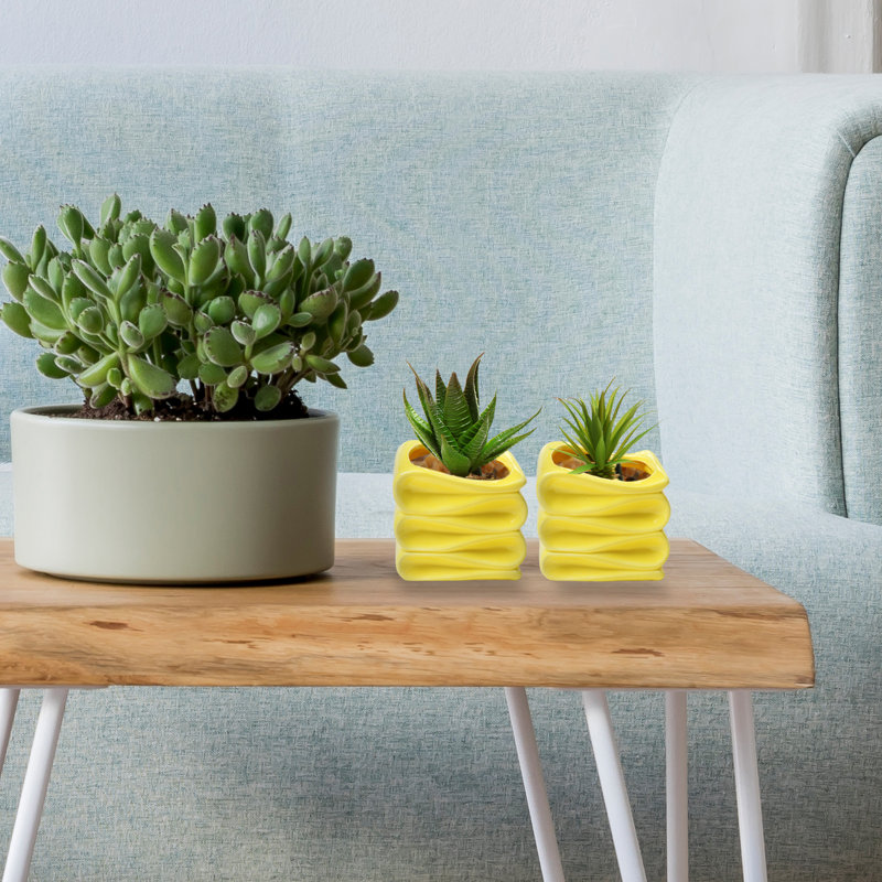 Ceramic Pot Planter