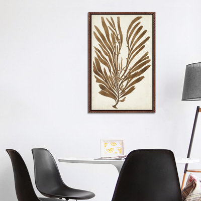 Sepia Seaweed II by Vision Studio - Gallery-Wrapped Canvas Giclée on Canvas