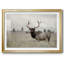 Grand Elk, impression encadrée avec biseau mat et verre-1586526676-1586526678