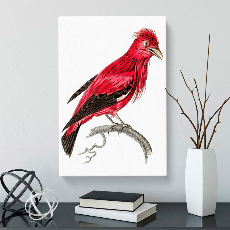 Crimson Roller Bird by George Shaw - Wrapped Canvas Painting, 50cm H x 35cm W x 3cm D