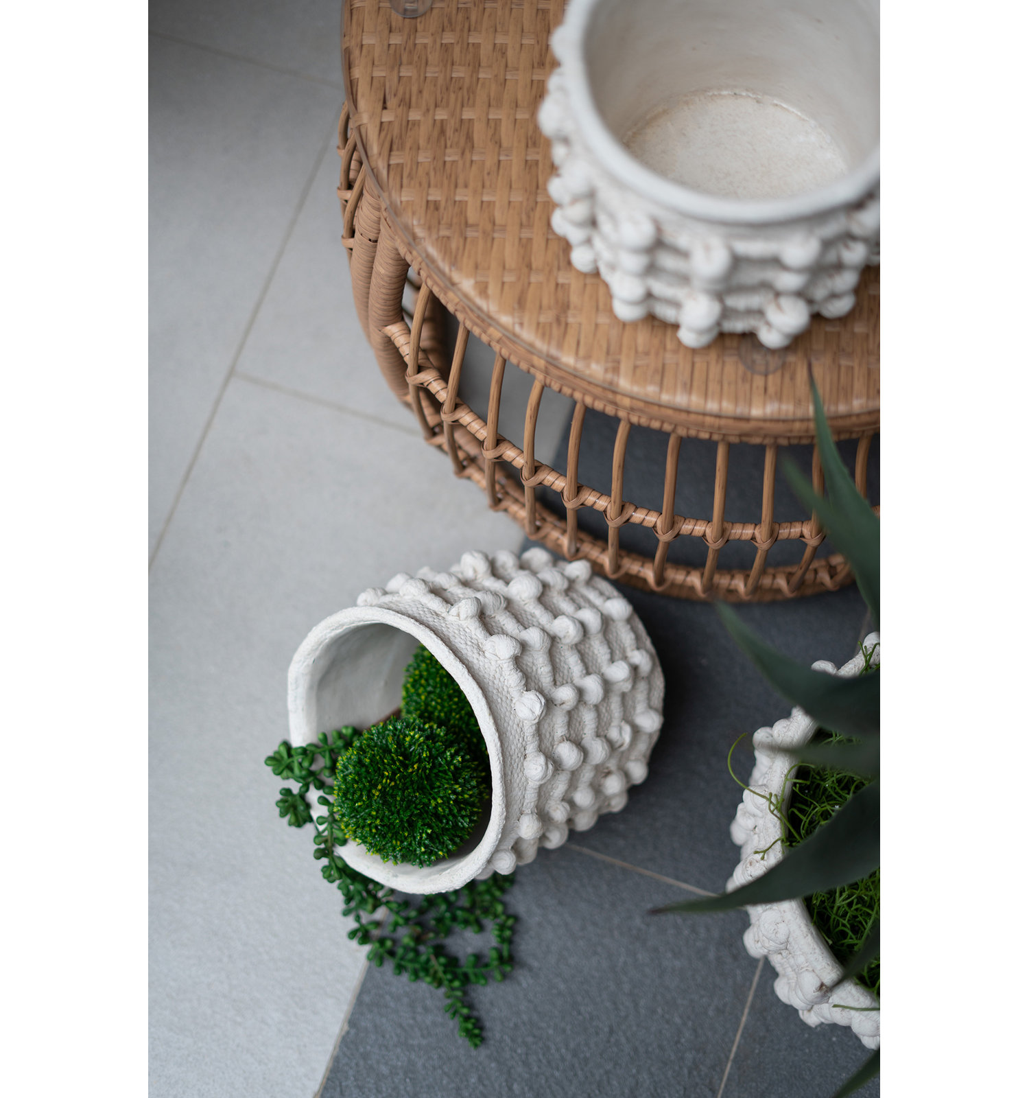 Mosley Pot Planter, 8.5" H x 8.5" W x 6.9" D