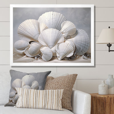Coquillages blancs monochromes