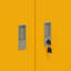 Storage Cabinet-451121081