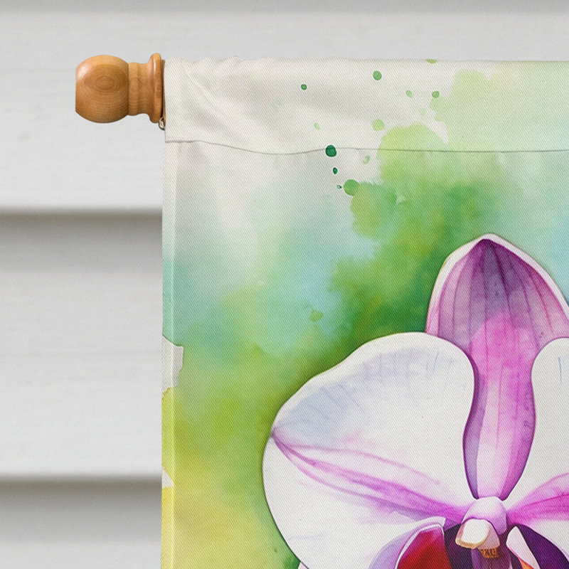 Drapeau de la maison, Orchidées phalaenopsis