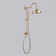 Multi Function Dual Shower Head