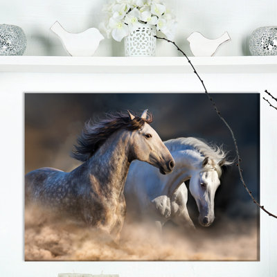 Photographie d'animaux sur toile, "Chevaux qui courent dans la poussière"